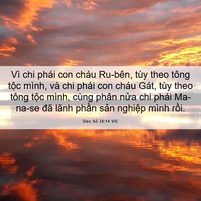 Picture 06 - Dân Số 34:14 VIE - Vì chi phái con cháu Ru-bên, tùy theo tông - Bible Verse Picture