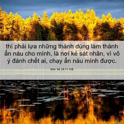 Picture 06 - Dân Số 35:11 VIE - thì phải lựa những thành dùng làm - Bible Verse Picture