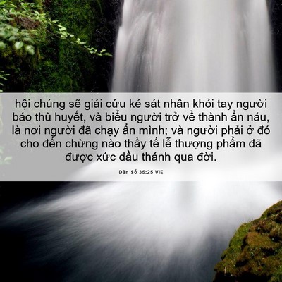 Picture 06 - Dân Số 35:25 VIE - hội chúng sẽ giải cứu kẻ sát nhân - Bible Verse Picture