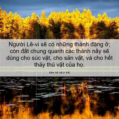 Picture 06 - Dân Số 35:3 VIE - Người Lê-vi sẽ có những thành đặng - Bible Verse Picture