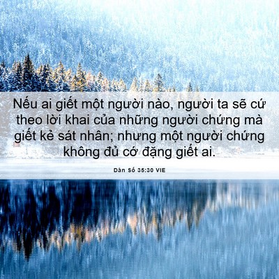 Picture 06 - Dân Số 35:30 VIE - Nếu ai giết một người nào, người ta - Bible Verse Picture