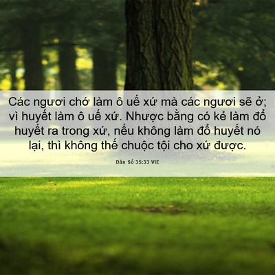 Picture 06 - Dân Số 35:33 VIE - Các ngươi chớ làm ô uế xứ mà các - Bible Verse Picture