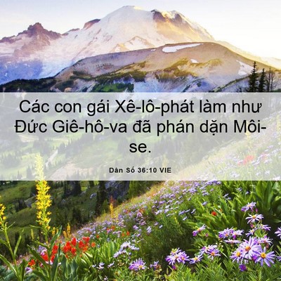 Picture 06 - Dân Số 36:10 VIE - Các con gái Xê-lô-phát làm như Đức - Bible Verse Picture
