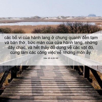 Picture 06 - Dân Số 4:26 VIE - các bố vi của hành lang ở chung quanh - Bible Verse Picture