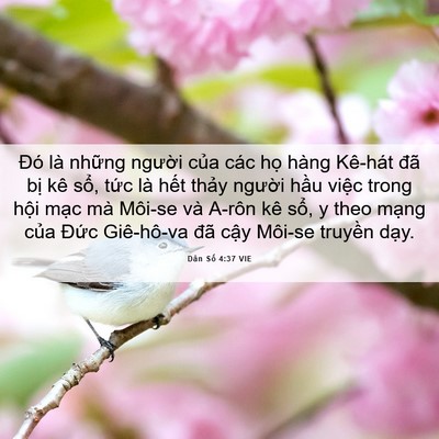 Picture 06 - Dân Số 4:37 VIE - Đó là những người của các họ hàng - Bible Verse Picture