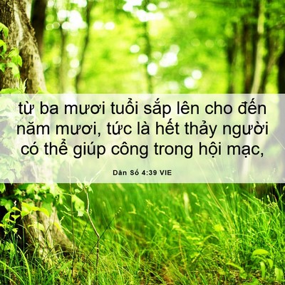 Picture 06 - Dân Số 4:39 VIE - từ ba mươi tuổi sắp lên cho đến năm - Bible Verse Picture
