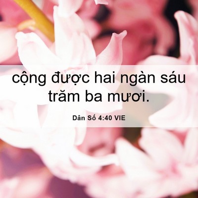Picture 06 - Dân Số 4:40 VIE - cộng được hai ngàn sáu trăm ba - Bible Verse Picture
