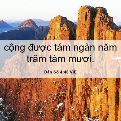 Picture 06 - Dân Số 4:48 VIE - cộng được tám ngàn năm trăm tám - Bible Verse Picture