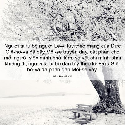 Picture 06 - Dân Số 4:49 VIE - Người ta tu bộ người Lê-vi tùy theo - Bible Verse Picture