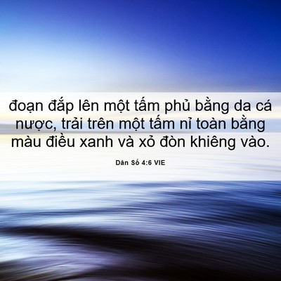 Picture 06 - Dân Số 4:6 VIE - đoạn đắp lên một tấm phủ bằng da - Bible Verse Picture