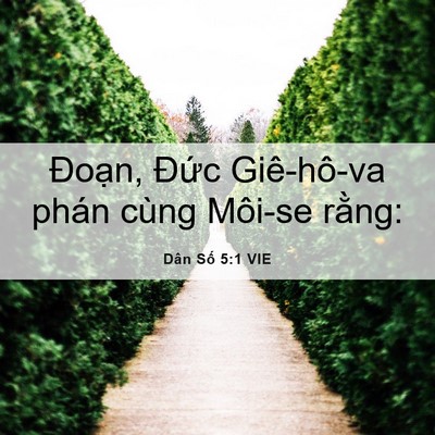 Picture 06 - Dân Số 5:1 VIE - Đoạn, Đức Giê-hô-va phán cùng Môi-se - Bible Verse Picture