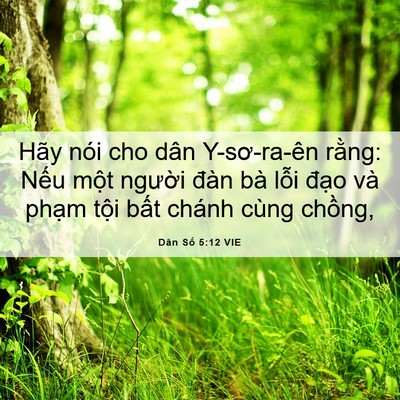 Picture 06 - Dân Số 5:12 VIE - Hãy nói cho dân Y-sơ-ra-ên rằng: Nếu - Bible Verse Picture