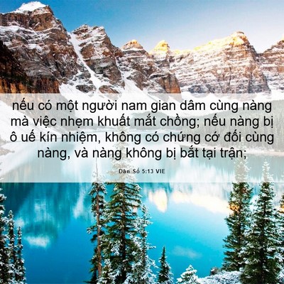 Picture 06 - Dân Số 5:13 VIE - nếu có một người nam gian dâm cùng - Bible Verse Picture