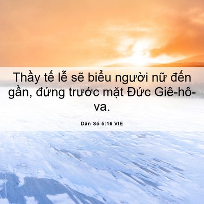 Picture 06 - Dân Số 5:16 VIE - Thầy tế lễ sẽ biểu người nữ đến - Bible Verse Picture
