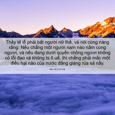 Picture 06 - Dân Số 5:19 VIE - Thầy tế lễ phải bắt người nữ - Bible Verse Picture