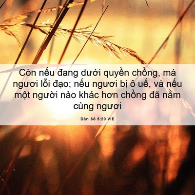 Picture 06 - Dân Số 5:20 VIE - Còn nếu đang dưới quyền chồng, mà - Bible Verse Picture
