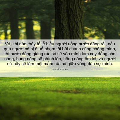 Picture 06 - Dân Số 5:27 VIE - Vả, khi nào thầy tế lễ biểu người - Bible Verse Picture