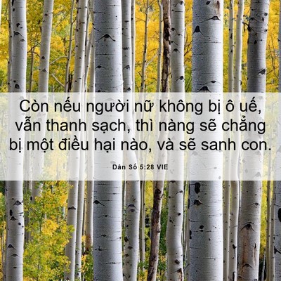 Picture 06 - Dân Số 5:28 VIE - Còn nếu người nữ không bị ô uế, - Bible Verse Picture