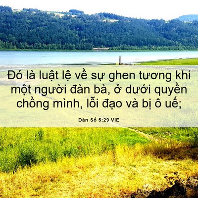 Picture 06 - Dân Số 5:29 VIE - Đó là luật lệ về sự ghen tương khi - Bible Verse Picture