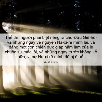 Picture 06 - Dân Số 6:12 VIE - Thế thì, người phải biệt riêng ra cho - Bible Verse Picture