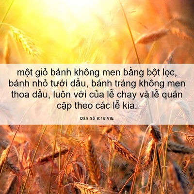 Picture 06 - Dân Số 6:15 VIE - một giỏ bánh không men bằng bột lọc, - Bible Verse Picture