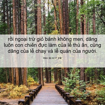 Picture 06 - Dân Số 6:17 VIE - rồi ngoại trừ giỏ bánh không men, dâng - Bible Verse Picture