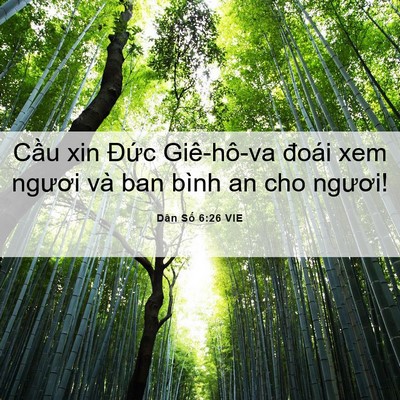 Picture 06 - Dân Số 6:26 VIE - Cầu xin Đức Giê-hô-va đoái xem ngươi - Bible Verse Picture