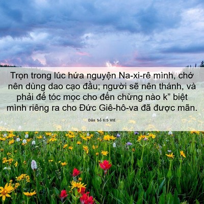 Picture 06 - Dân Số 6:5 VIE - Trọn trong lúc hứa nguyện Na-xi-rê mình, - Bible Verse Picture