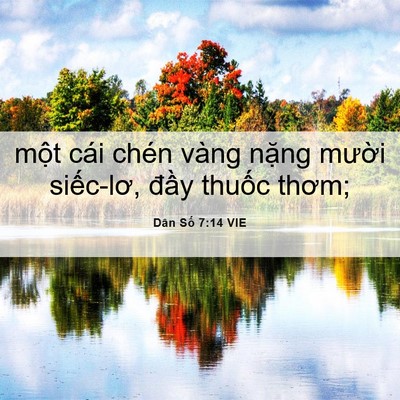 Picture 06 - Dân Số 7:14 VIE - một cái chén vàng nặng mười siếc-lơ, - Bible Verse Picture