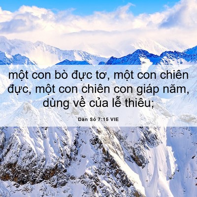 Picture 06 - Dân Số 7:15 VIE - một con bò đực tơ, một con chiên - Bible Verse Picture