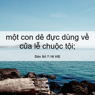 Picture 06 - Dân Số 7:16 VIE - một con dê đực dùng về của lễ - Bible Verse Picture