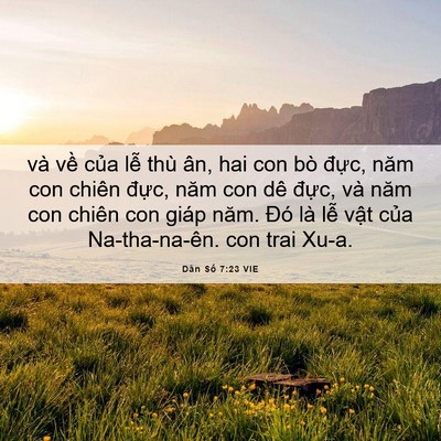Picture 06 - Dân Số 7:23 VIE - và về của lễ thù ân, hai con bò đực, - Bible Verse Picture