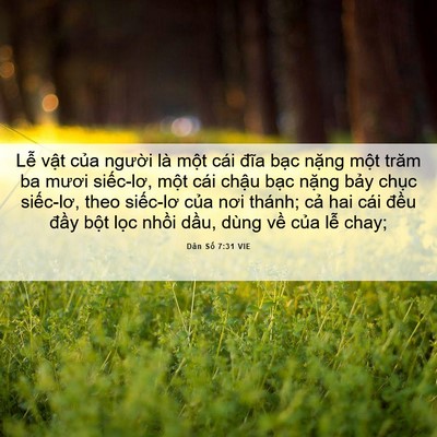 Picture 06 - Dân Số 7:31 VIE - Lễ vật của người là một cái đĩa - Bible Verse Picture