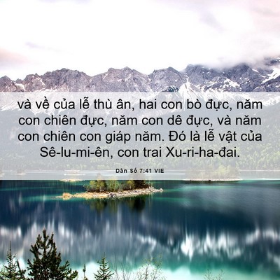 Picture 06 - Dân Số 7:41 VIE - và về của lễ thù ân, hai con bò đực, - Bible Verse Picture