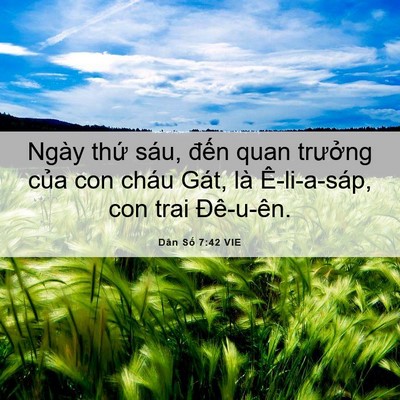 Picture 06 - Dân Số 7:42 VIE - Ngày thứ sáu, đến quan trưởng của con - Bible Verse Picture