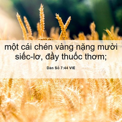 Picture 06 - Dân Số 7:44 VIE - một cái chén vàng nặng mười siếc-lơ, - Bible Verse Picture