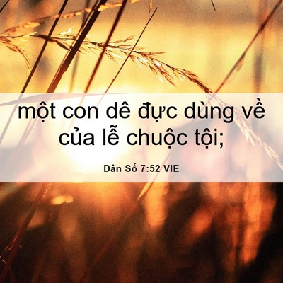Picture 06 - Dân Số 7:52 VIE - một con dê đực dùng về của lễ - Bible Verse Picture