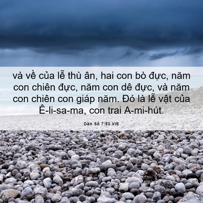 Picture 06 - Dân Số 7:53 VIE - và về của lễ thù ân, hai con bò đực, - Bible Verse Picture