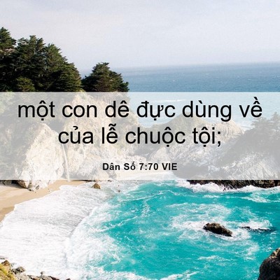 Picture 06 - Dân Số 7:70 VIE - một con dê đực dùng về của lễ - Bible Verse Picture