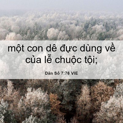 Picture 06 - Dân Số 7:76 VIE - một con dê đực dùng về của lễ - Bible Verse Picture