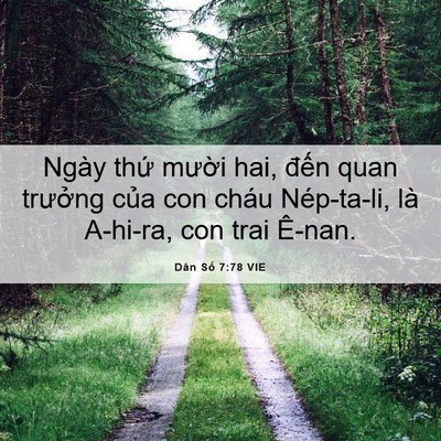 Picture 06 - Dân Số 7:78 VIE - Ngày thứ mười hai, đến quan trưởng - Bible Verse Picture