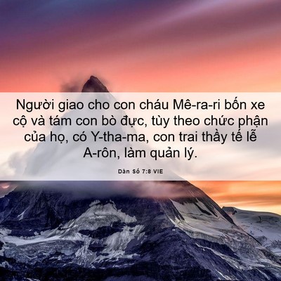 Picture 06 - Dân Số 7:8 VIE - Người giao cho con cháu Mê-ra-ri bốn xe - Bible Verse Picture