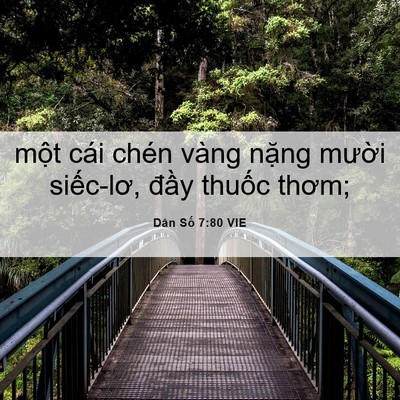 Picture 06 - Dân Số 7:80 VIE - một cái chén vàng nặng mười siếc-lơ, - Bible Verse Picture