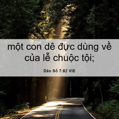Picture 06 - Dân Số 7:82 VIE - một con dê đực dùng về của lễ - Bible Verse Picture