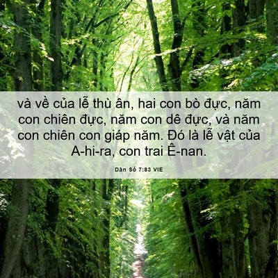 Picture 06 - Dân Số 7:83 VIE - và về của lễ thù ân, hai con bò đực, - Bible Verse Picture