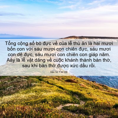 Picture 06 - Dân Số 7:88 VIE - Tổng cộng số bò đực về của lễ - Bible Verse Picture