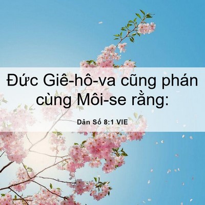 Picture 06 - Dân Số 8:1 VIE - Đức Giê-hô-va cũng phán cùng Môi-se - Bible Verse Picture