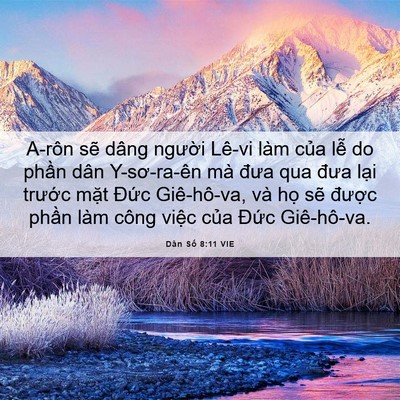 Picture 06 - Dân Số 8:11 VIE - A-rôn sẽ dâng người Lê-vi làm của lễ - Bible Verse Picture