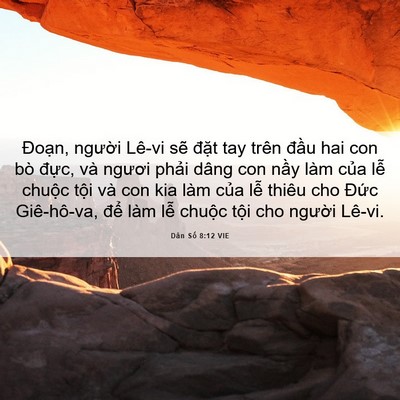 Picture 06 - Dân Số 8:12 VIE - Đoạn, người Lê-vi sẽ đặt tay trên - Bible Verse Picture