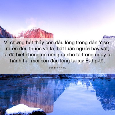 Picture 06 - Dân Số 8:17 VIE - Vì chưng hết thảy con đầu lòng trong - Bible Verse Picture